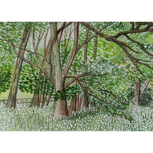 rydal-hall-gardens
