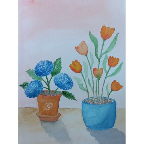 Tulips and Hydrangeas