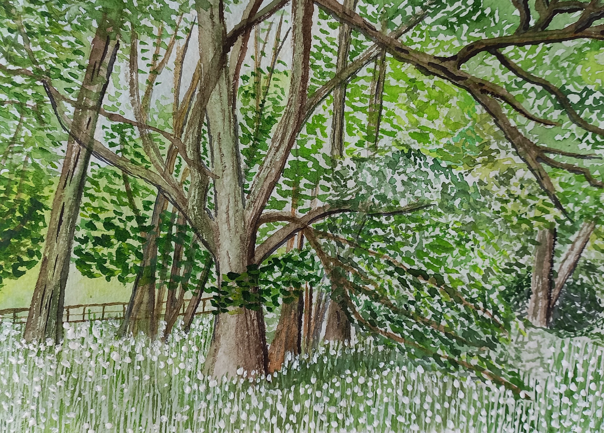 Landscapes